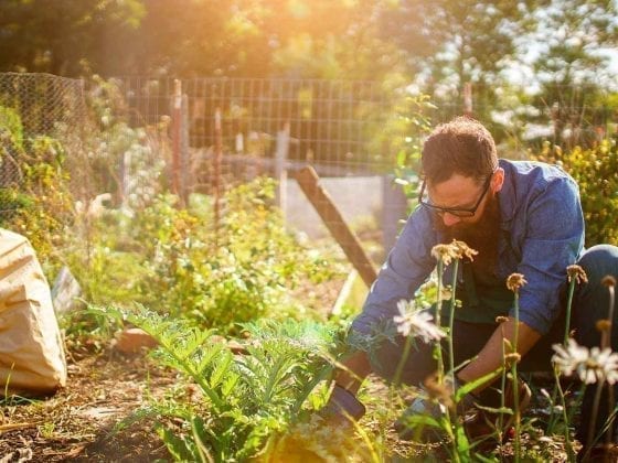 Ein Gaertner ist im Garten bei der Arbeit