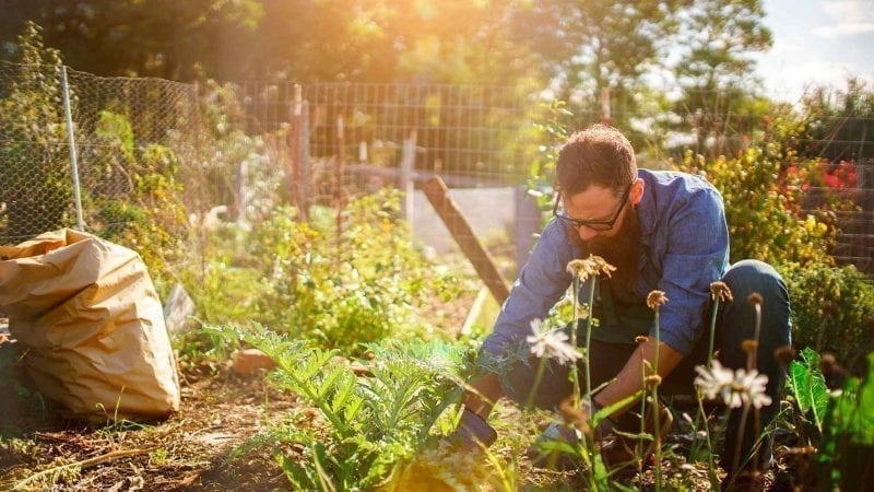 Ein Gaertner ist im Garten bei der Arbeit