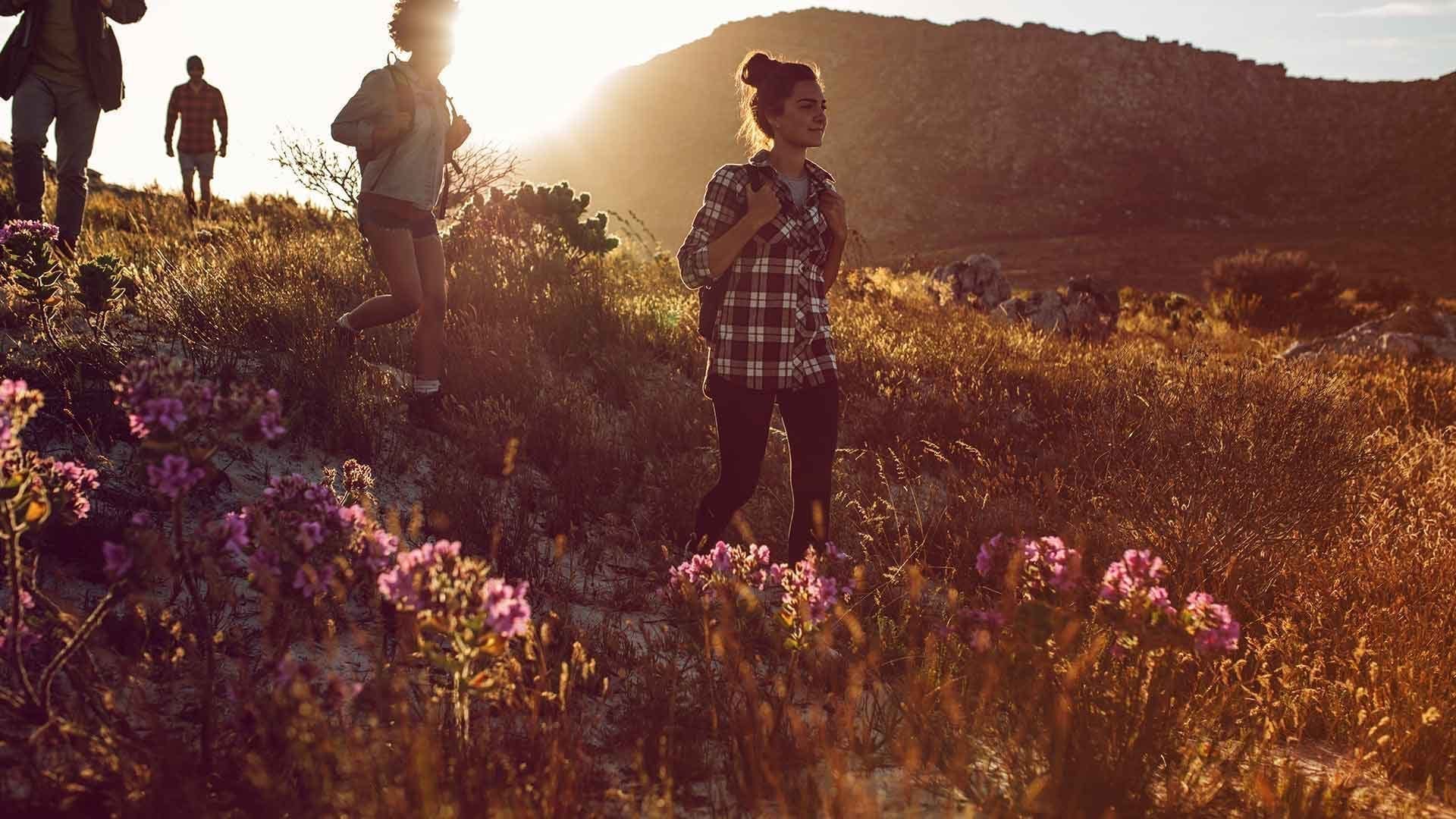 Eine Menschengruppe wandert über Hügel