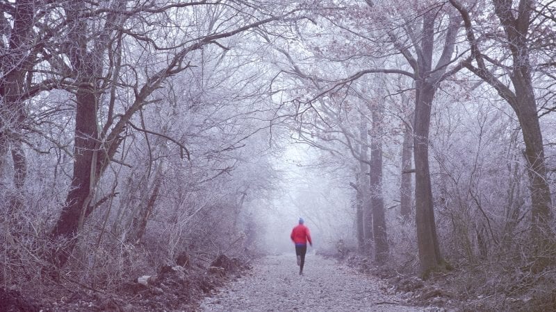 Ein Läufer im Winterwald