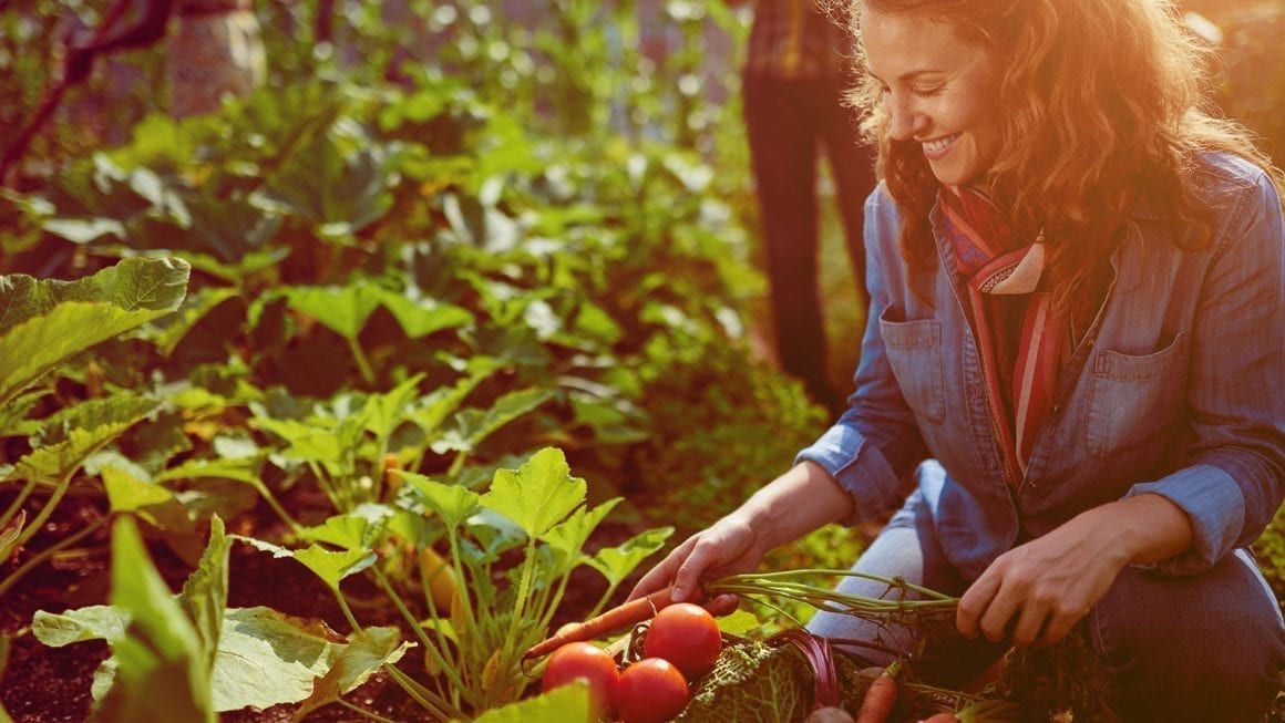 Frau im Garten und gärtnert