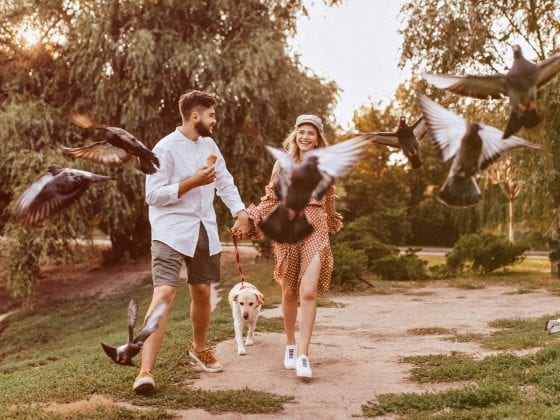 Bewegung: Ein Paar geht im Park spazieren