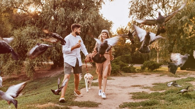 Bewegung: Ein Paar geht im Park spazieren