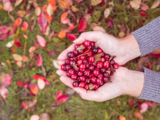 Frau hält Cranberrys in den Händen