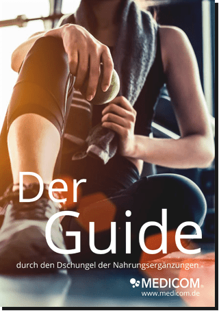 Deckblatt vom Guide 