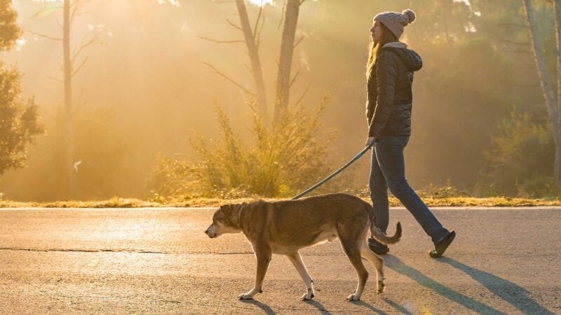 Frau geht mit Hund spazieren