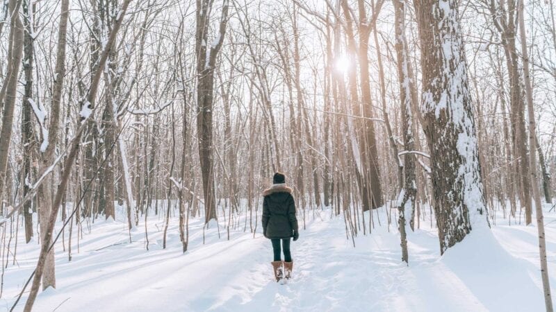 Wald mit Schnee und Frau