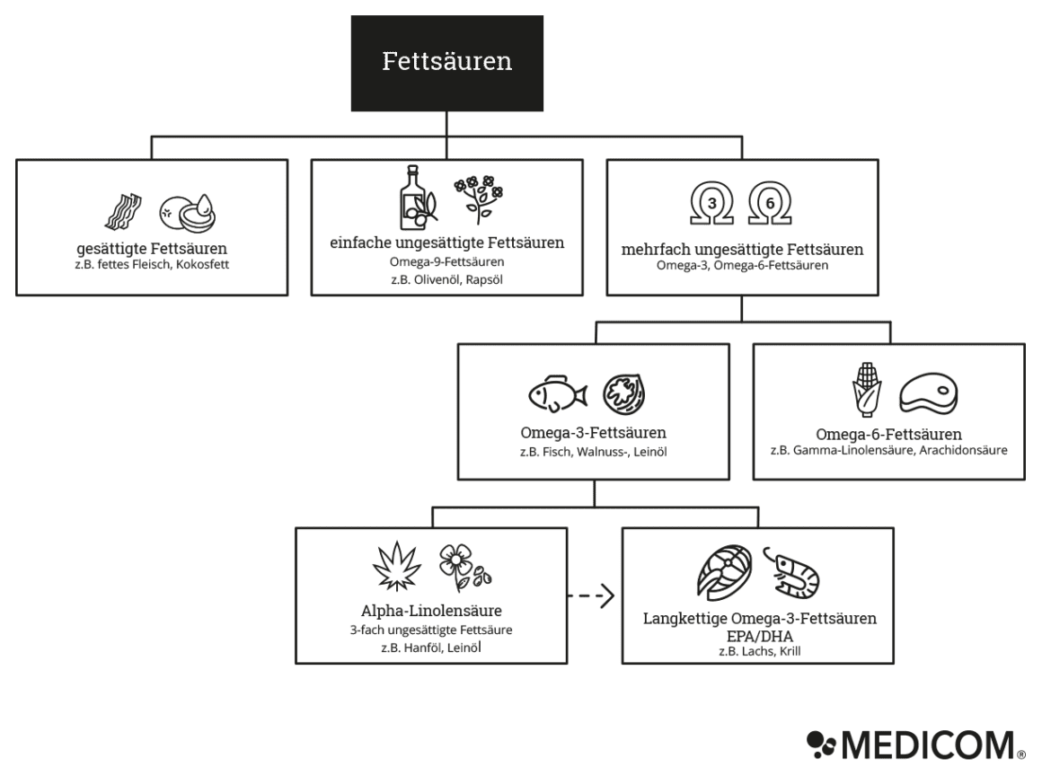 Infografik essentielle Fettsäuren